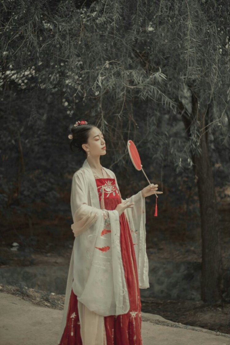 7-河南省·新乡市·红旗区--拍过几组汉服 表现力可以