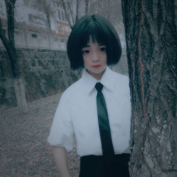 露西F-陕西省·汉中市·镇巴县--衬衫