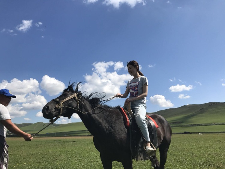 张人伟-山东省·青岛市·市南区--内蒙古呼和浩特骑马?