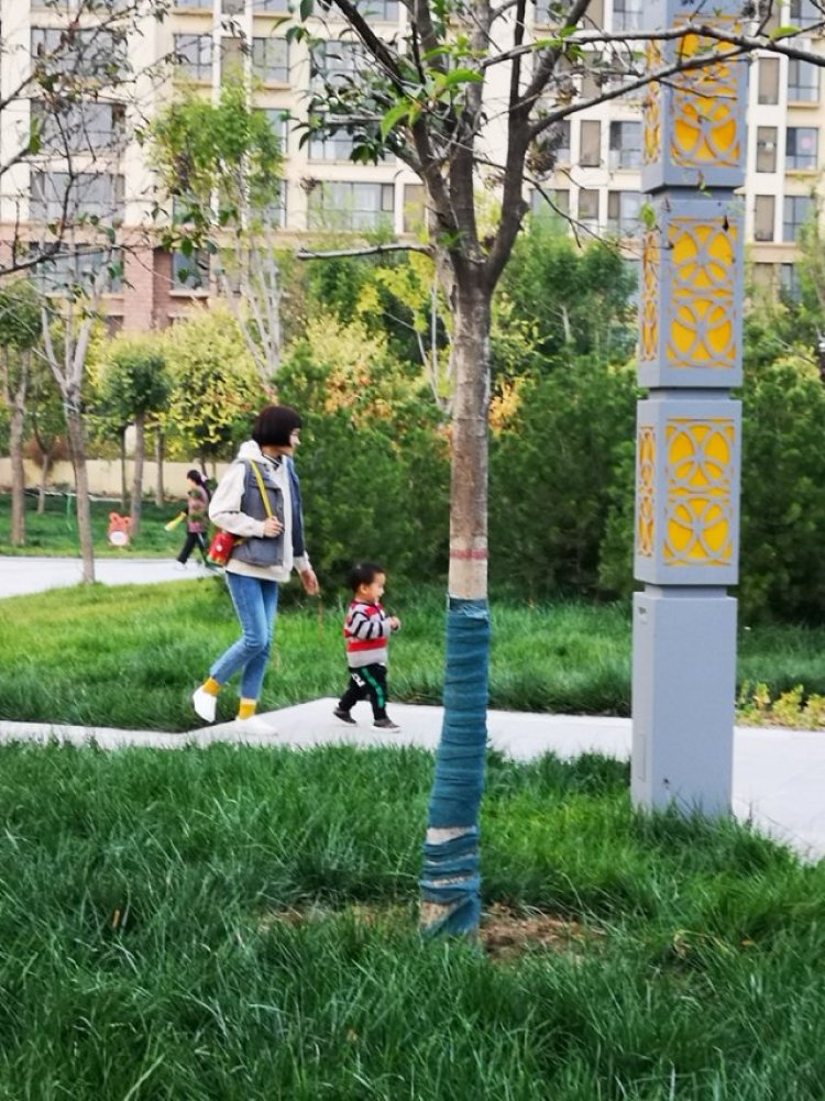 吕合格-河北省·衡水市·桃城区--接各种买家秀,亲子网拍