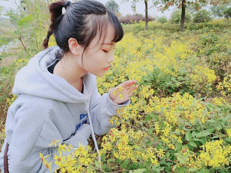 念-陕西省·延安市·黄陵县--私我