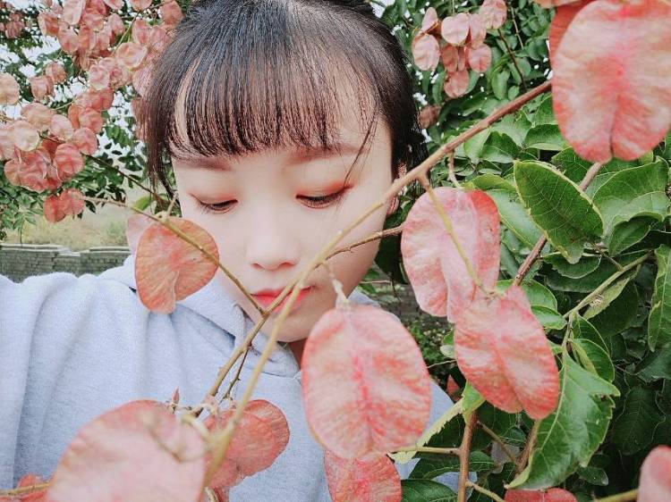 念-陕西省·延安市·黄陵县--私我