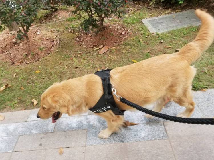二月 十八-福建省·厦门市·湖里区--可接拍照哦~