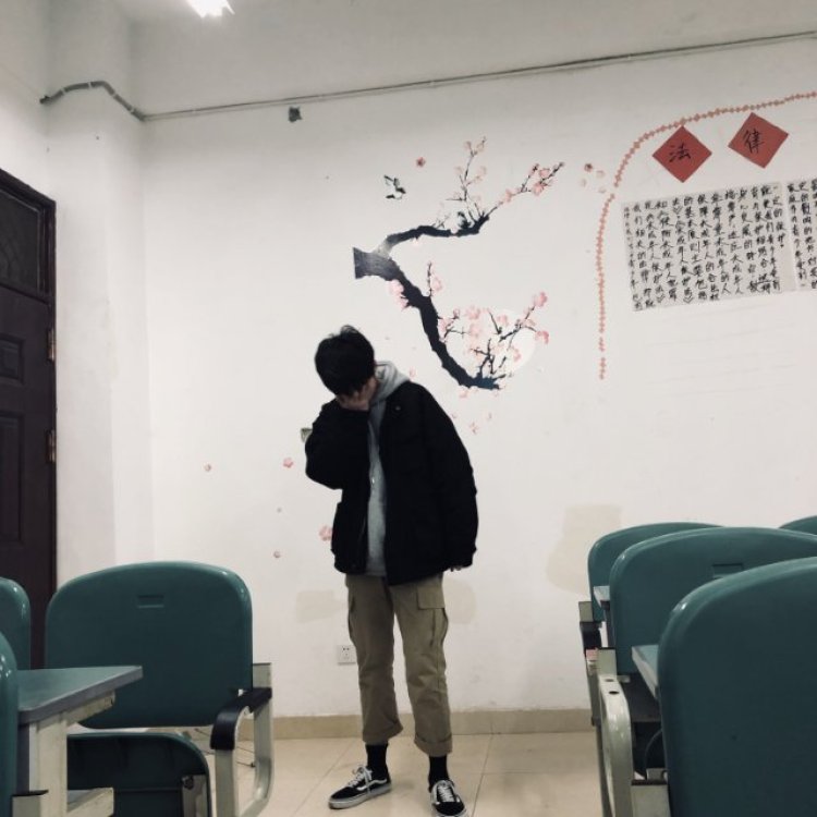 及行级乐-四川省·资阳市·雁江区--接网拍其他等