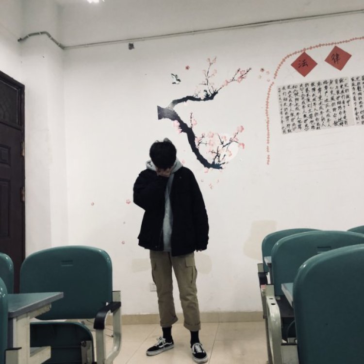 及行级乐-四川省·资阳市·雁江区--接网拍其他等