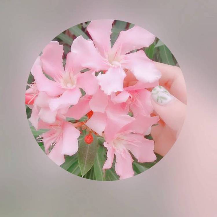 Yilia-广东省·广州市·天河区--静物拍摄,欢迎合作?