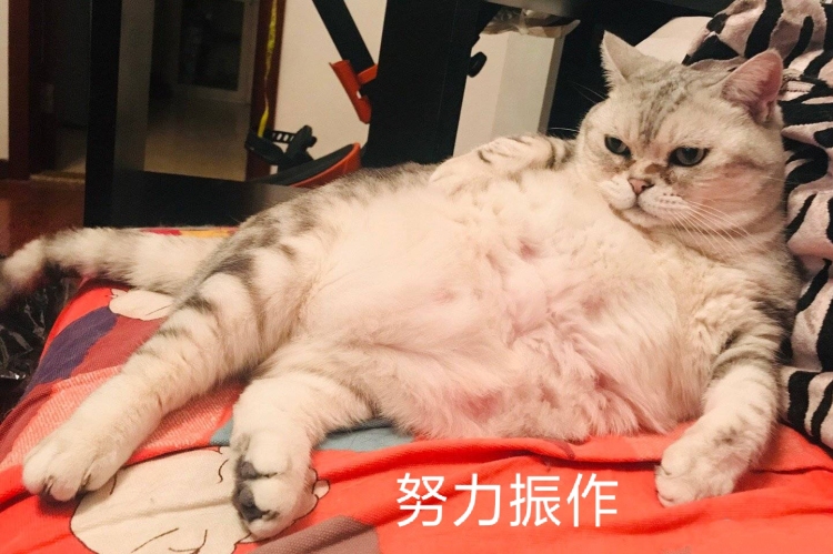 ~~-福建省·莆田市·荔城区--想着应该独立一点了,希望有人能找我拍买家秀什么的啊!我超耐心的,帮帮刚刚出现在这个平台的孩子吧!2019希望快点迎来人生的第一桶金