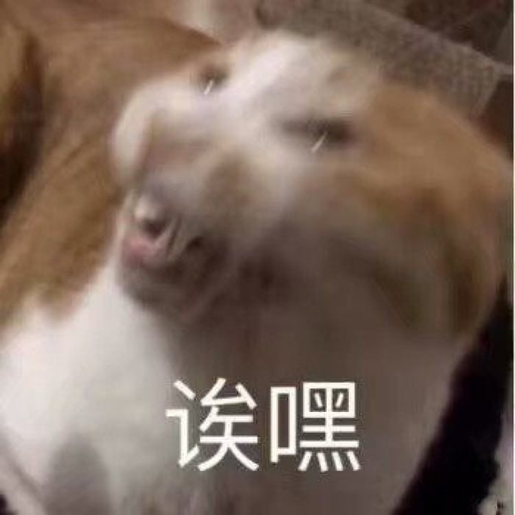 开心.-吉林省·白山市·江源区--想做买家秀 网拍
会拍照~
?