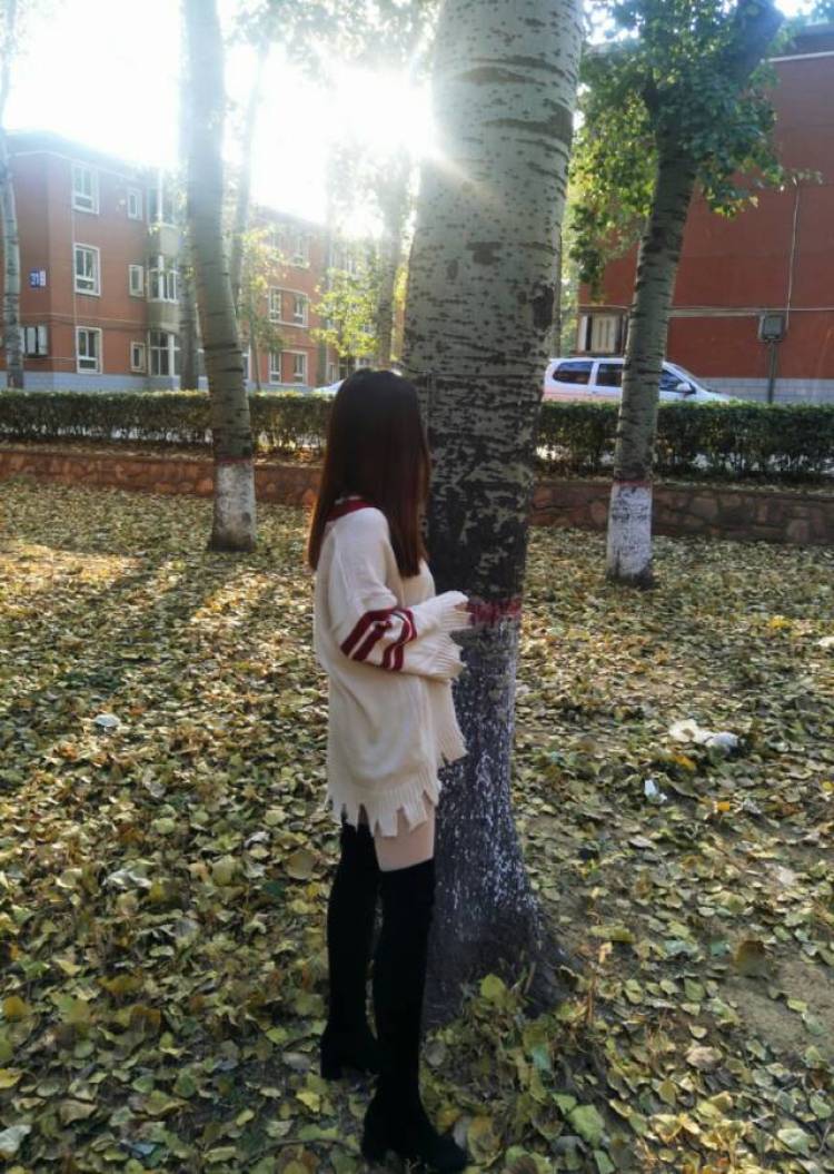 不停33--河北省·石家庄市·桥西区--接单啦? ?