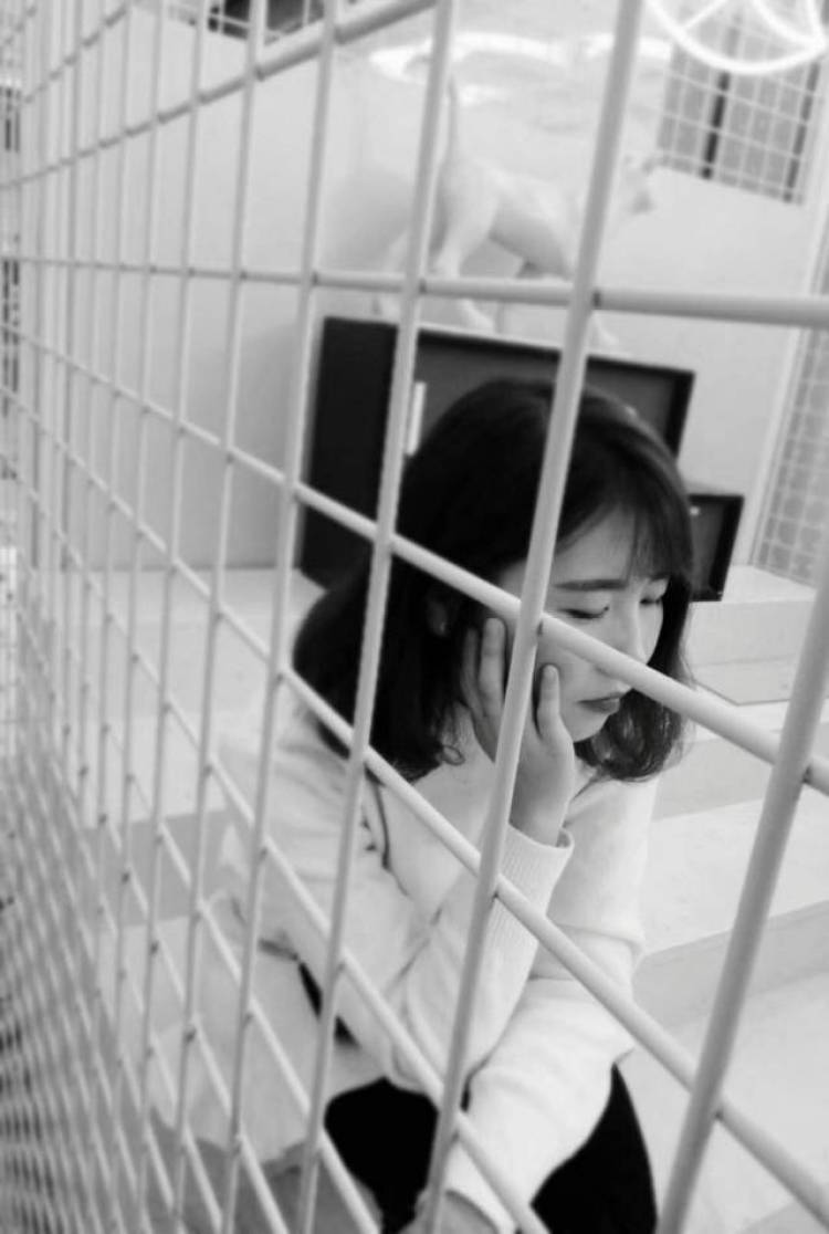 琴-浙江省·宁波市·慈溪市--自拍