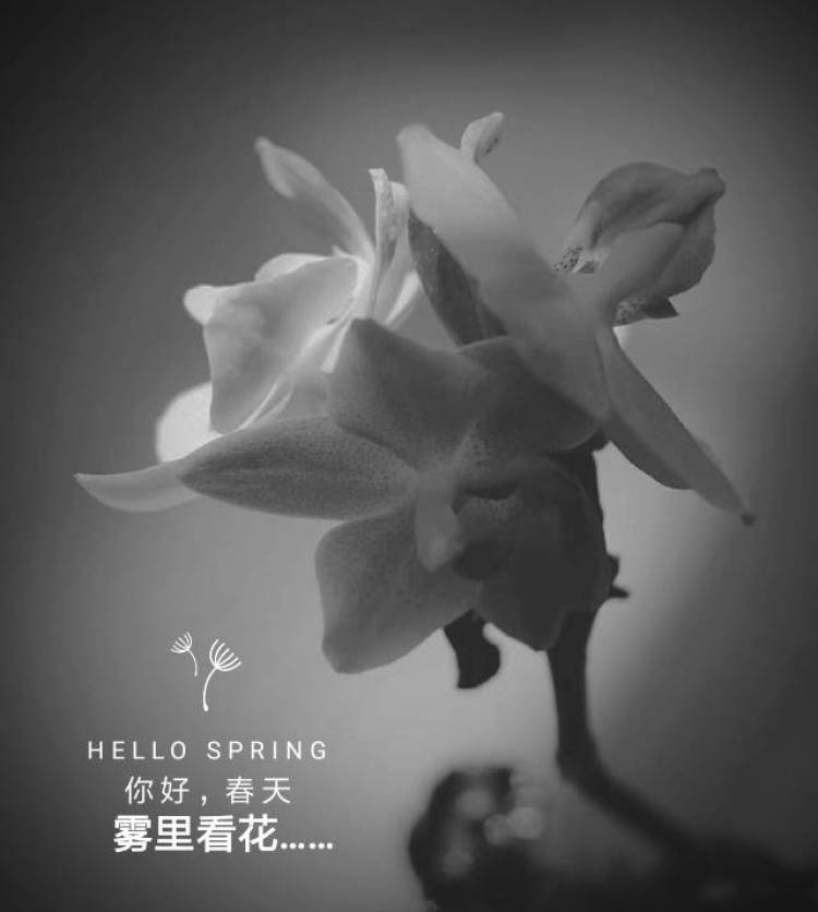 青春无悔一缕茶-海南省·三亚市·吉阳区-朋友圈-活着,知己不可缺,
缺了压力跟谁说,
缺了有酒跟谁喝,
缺了有难找谁帮,
缺了喜事跟谁享。