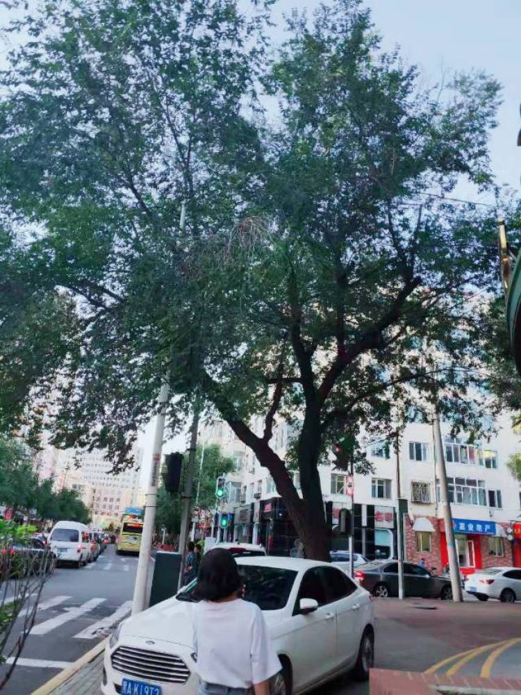 Tina-福建省·泉州市·石狮市--大学生一枚,独立,努力,向上,踏实,是我的目标。希望能给新人一个机会。初次遇见请多关照。