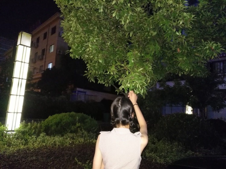 A 婷婷-安徽省·芜湖市·镜湖区--身高166 体重89.2 乘务专业 淘宝买家秀网拍 模特 风格多变 喜欢摄影分享生活 可以接任何文案 努力的人不会被辜负~