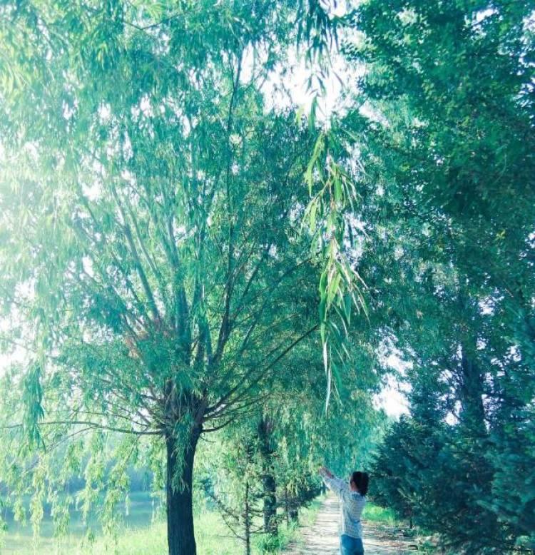 小八月-山西省·忻州市·原平市-抖音,朋友圈-我比较喜欢拍照摄影,也喜欢ps,自己呢还是个学生,希望可以做点兼职挣点生活费,我身材还可以,买家秀找我不会让你失望哦,价格好商量。