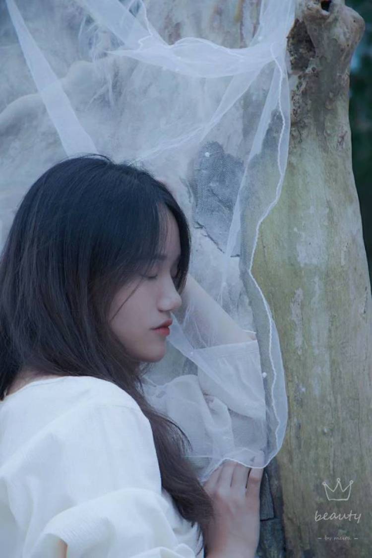 Gidget-湖南省·娄底市·新化县--本人学生,身高164,体重108,微胖匀称型,长相OK,会拍照,会P图,会写文,会做视频,初来乍到,愿多多关照