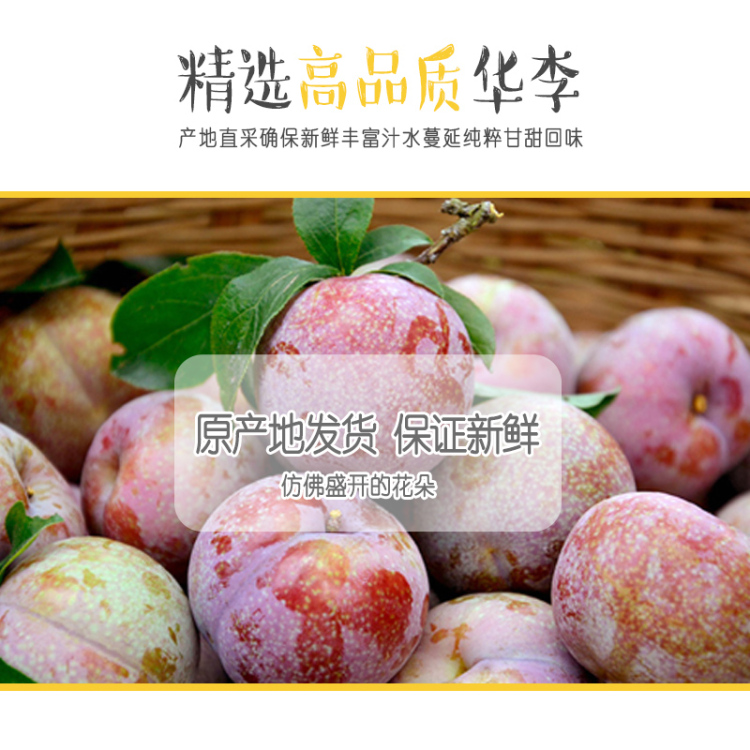 黄梦涛-广西壮族自治区·南宁市·青秀区-抖音-我家水果产品，求各位主播达人帮我直播带货，产品质量可靠，佣金丰厚，欢迎合作洽谈