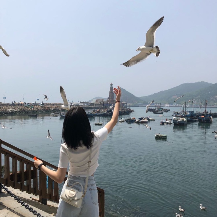 垚-辽宁省·辽阳市·灯塔市-抖音 快手-身高165体重50kg 才艺:唱歌钢琴吉他 喜欢拍照录制视频 平时喜欢玩抖音快手粉丝300左右