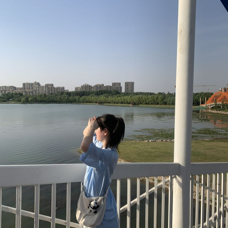 树.-河南省·新乡市·辉县市--喜欢穿好看的衣服兼拍照 身高162 体重89 骨架比较大 肩部略宽 直角肩
