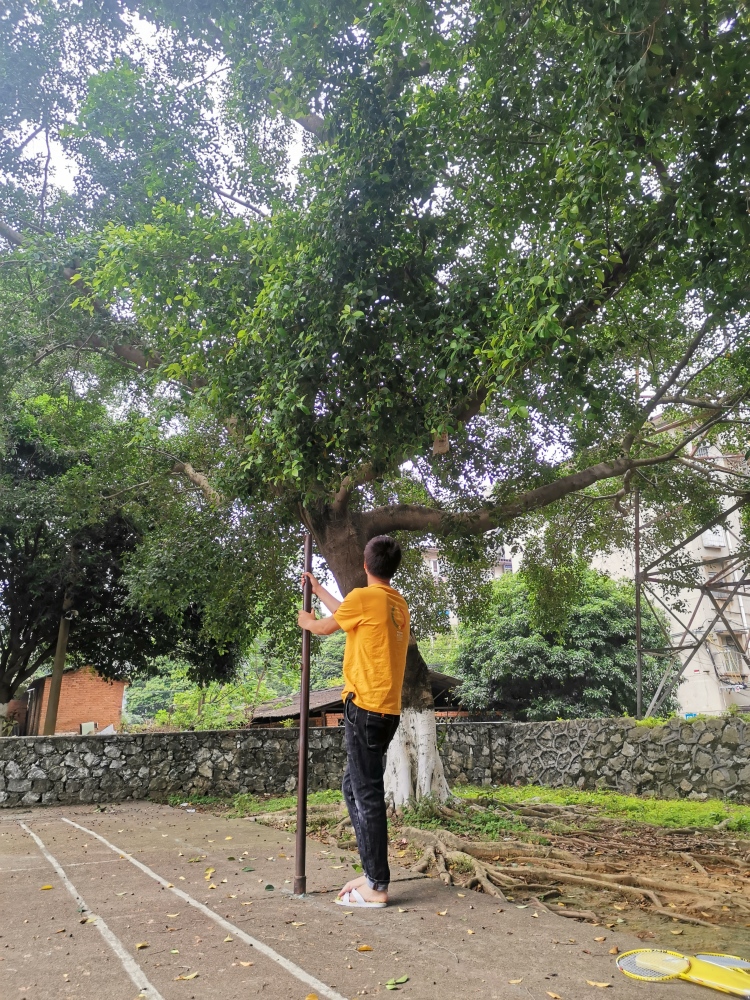 ok-广西壮族自治区·柳州市·鱼峰区-抖音-买家秀，自媒体，短视频带货都可以。要用到帅帅的男朋友也有～😊