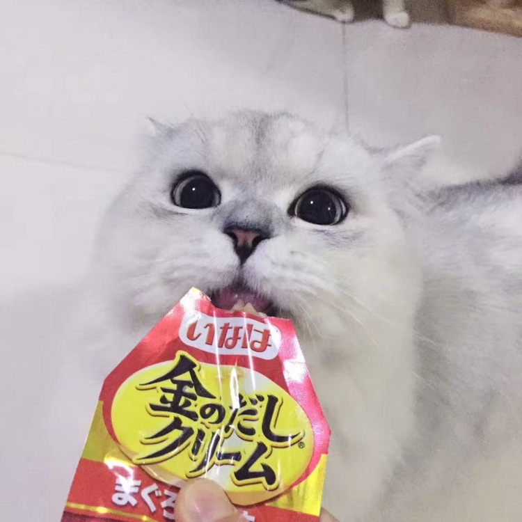 Seven🐱-广东省·湛江市·赤坎区--擅长美食安利、宠物用品买家秀、日常用品买家秀、服装全身照及局部照片买家秀。