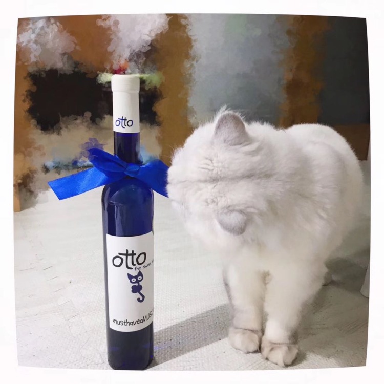 Seven🐱-广东省·湛江市·赤坎区--擅长美食安利、宠物用品买家秀、日常用品买家秀、服装全身照及局部照片买家秀。