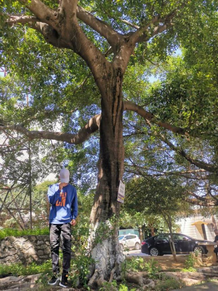 ok-广西壮族自治区·柳州市·鱼峰区-抖音-每一个单都会用心做好，买家秀，短视频文案都可～
下图是和男友共同完成的买家秀，供参考～