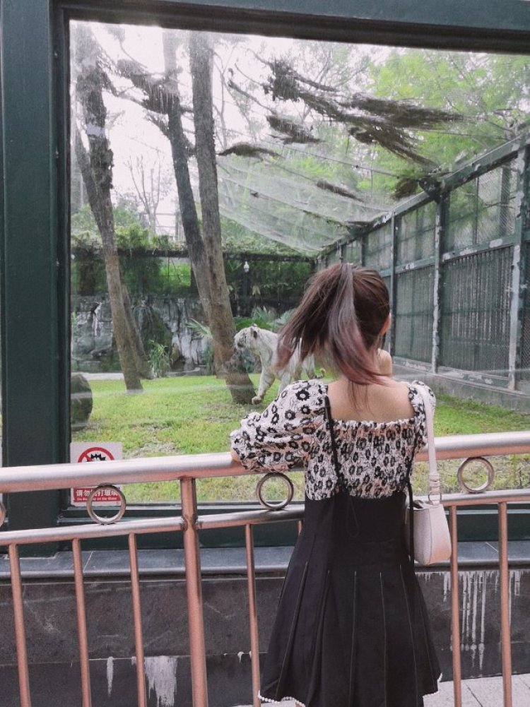 林子大了-广东省·广州市·增城区-抖音-位于广州的小个子女生
身高:155
体重:40公斤
淘气值:817
🉑接买家秀
🉑接测评 服装/彩妆/零食
欢迎广大老板滴滴我喔