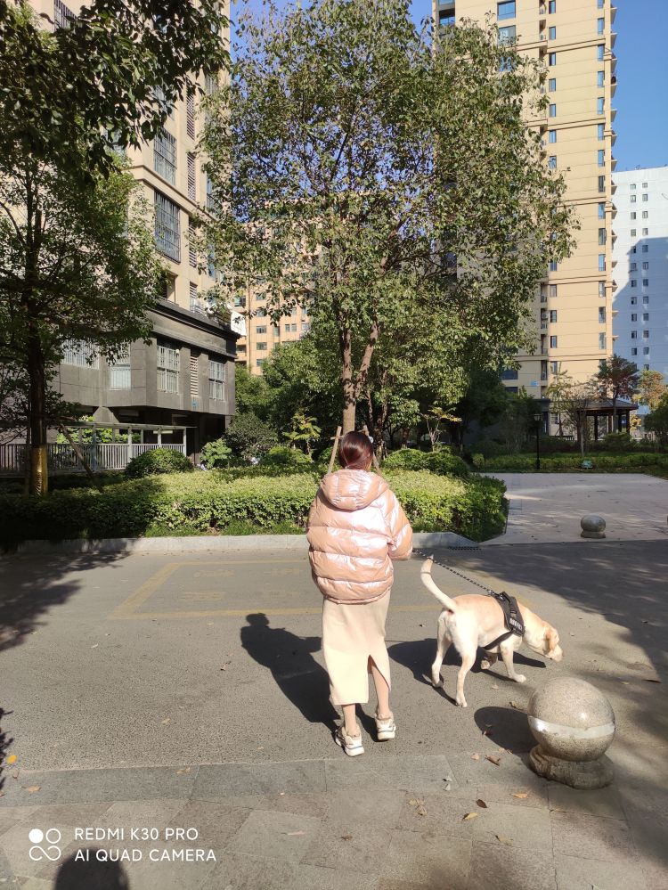 李宸伊-江苏省·淮安市·清江浦区-***,淘宝-接拍,买家秀,寄拍,送拍,开箱测,平时喜欢拍照~ 网购~ 护肤 美妆 ~宠物,开箱搬砖