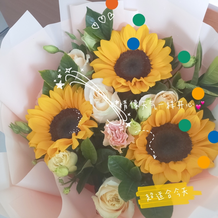 a-山西省·太原市·小店区-抖音、微博、***-之前一直是一名需求分析师,由于生病,目前生病在家休息,想要接买家秀。