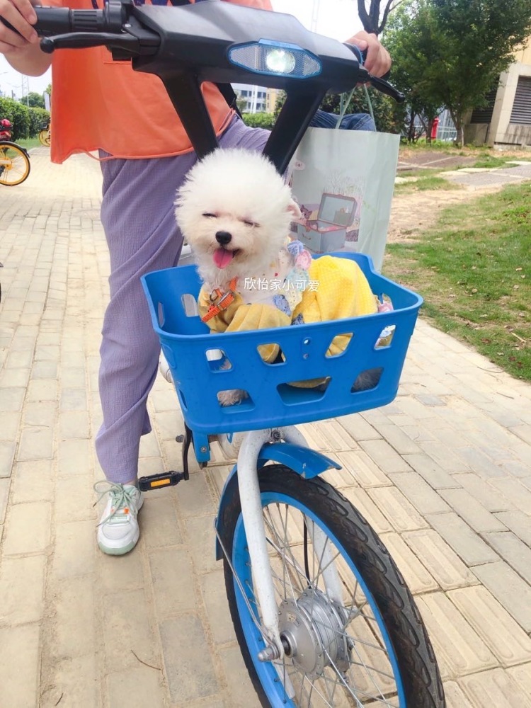 小Y-江西省·南昌市·青山湖区-微博 抖音-接寄拍 送拍 家里猫狗都有 也可以接宠物寄拍 爱拍照 会修图 学习能力快 新人求带 平常在家没啥事 希望能有机会合作