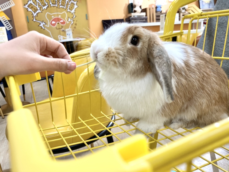 小鸿儿-福建省·厦门市·思明区-***-分享我的探店照片
坐标厦门
认真评价、返图
美团、大众点评优质推荐