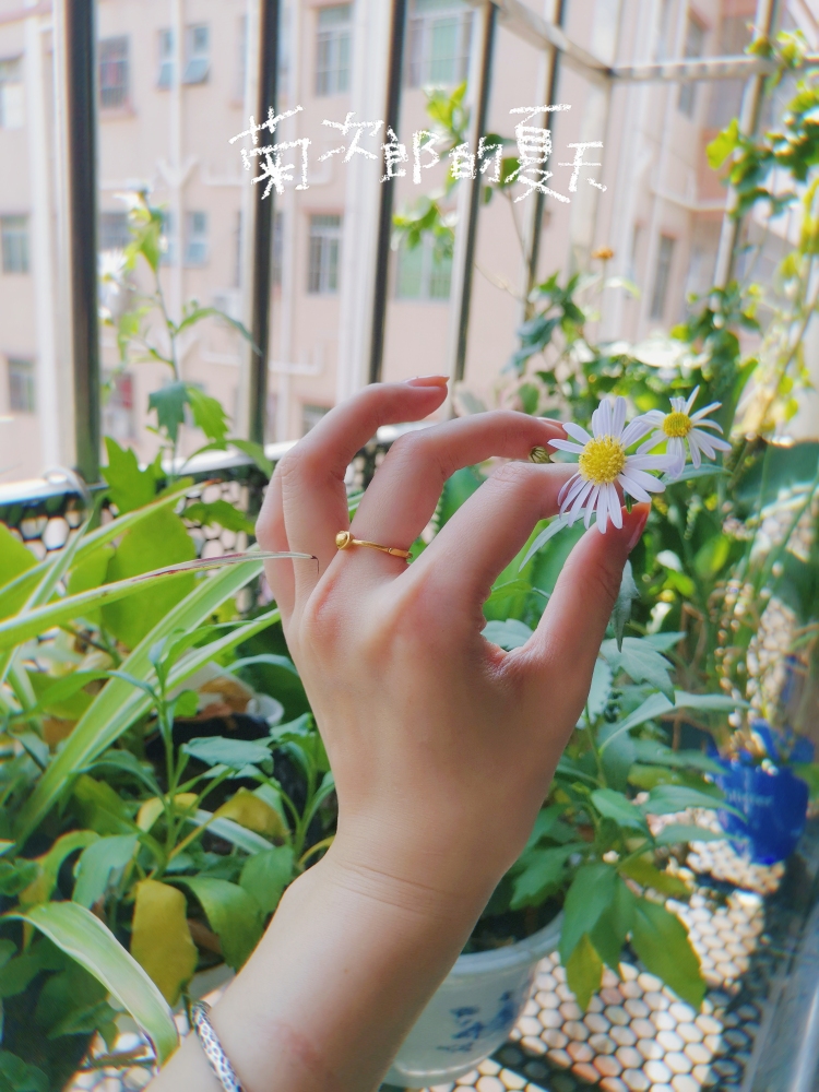 Echo-广东省·深圳市·宝安区-抖音，***-网拍！态度好，出图快哦！身高160cm,体重 44kg。可接拍各种买家秀！手也很好看，可做手模