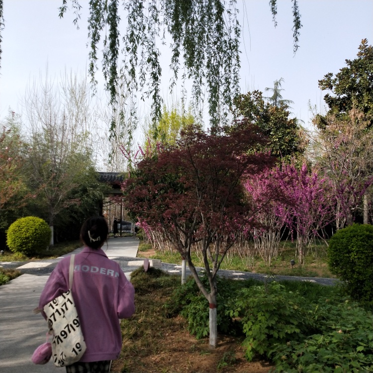 Artist-河南省·郑州市·中原区--曾学过播音主持，上过模特课；学生，时间多，收获快，拍图快；风格不限