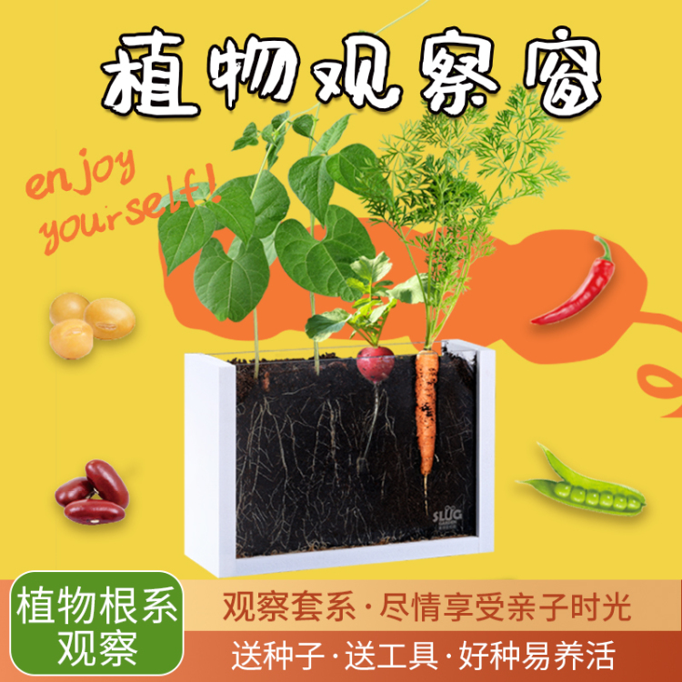 .-江苏省·苏州市·吴中区--【幼儿植物根系观察窗】***/抖音达人招募啦!!
达人要求:***粉丝100+,抖音粉丝500+,类型亲子,或者幼儿园/小学/初中生物老师均可
合作方式:需去淘宝店铺拍单
报名请添加微信!备注观察窗,