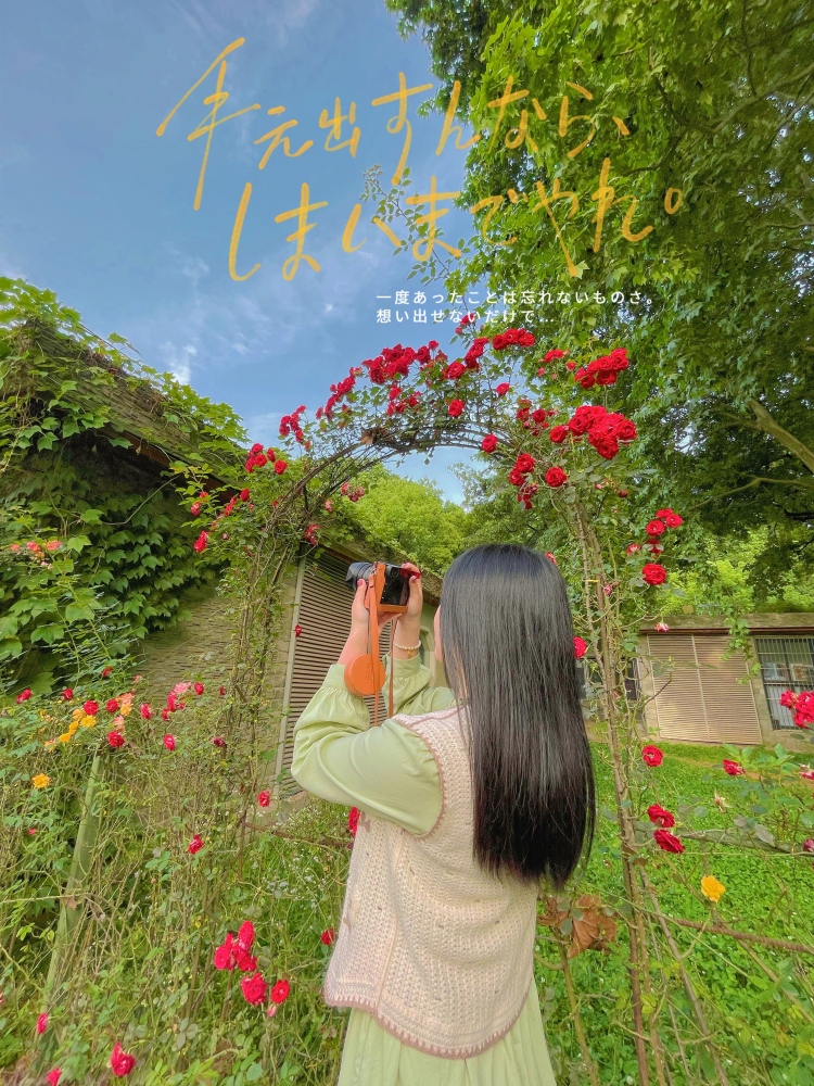 Dream-湖北省·武汉市·武昌区--一个喜欢拍照的狮子座♌️,寄拍,买家秀,探店打卡……都🉑️