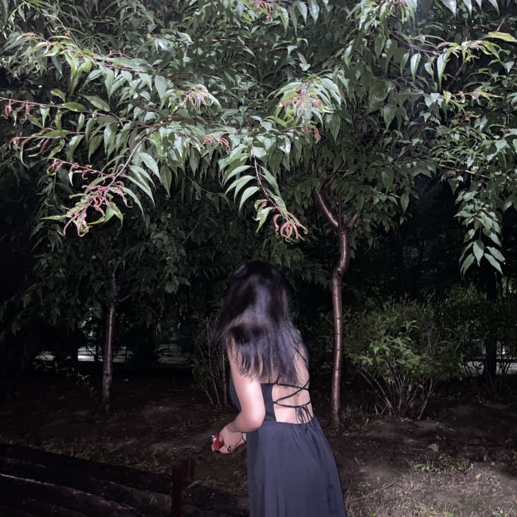ㅤㅤExpecto Patronum-辽宁省·沈阳市·大东区--新人一个
会p图 风格不限 身高167
在学校时间充裕所以想弄一些寄拍