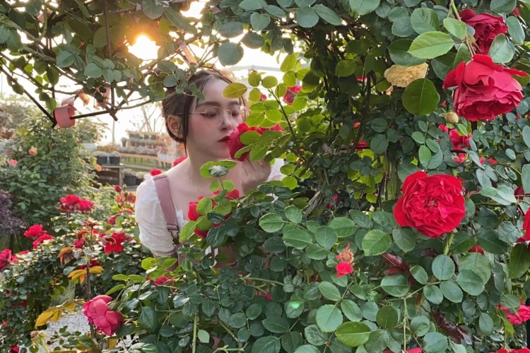 Arianna🌱-浙江省·台州市·路桥区-***-接买家秀(大码女装、饰品、ins风花瓶)
可温柔可萌
会p图和调色