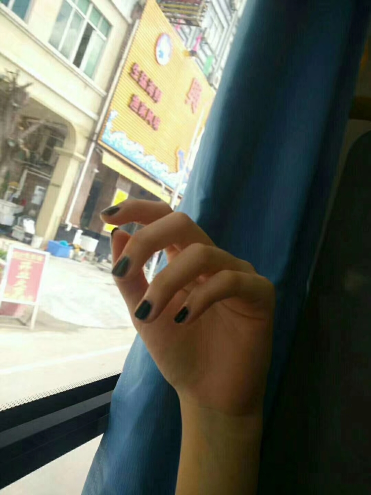 佬猫-广东省·江门市·蓬江区--风格多变