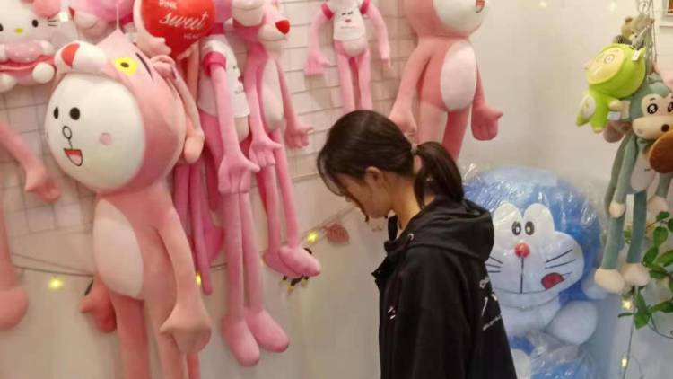 ?-陕西省·西安市·灞桥区--网拍视频拍摄