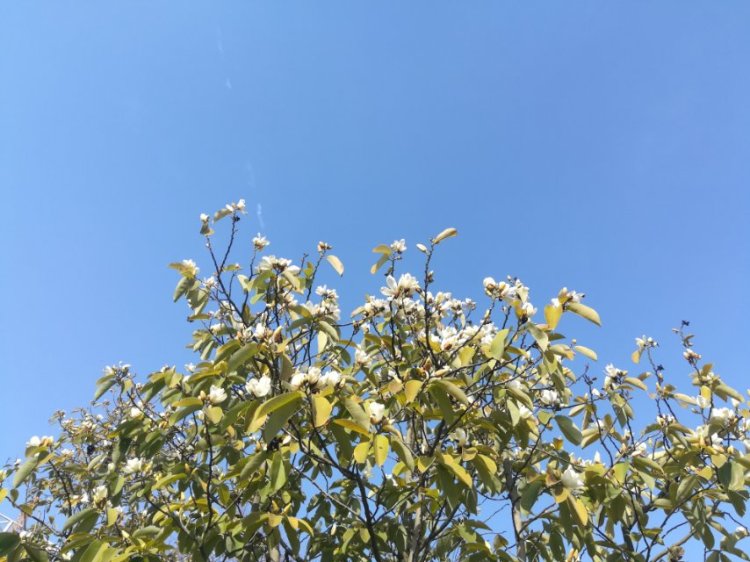 婷子*-湖北省·武汉市·武昌区--武汉的景  原图