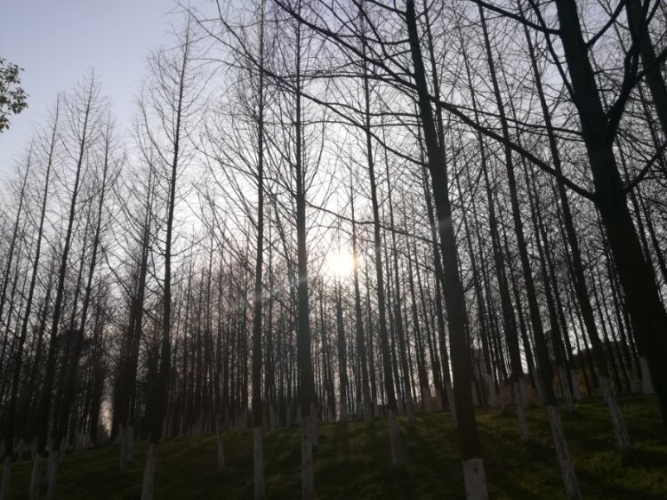 婷子*-湖北省·武汉市·武昌区--武汉的景  原图