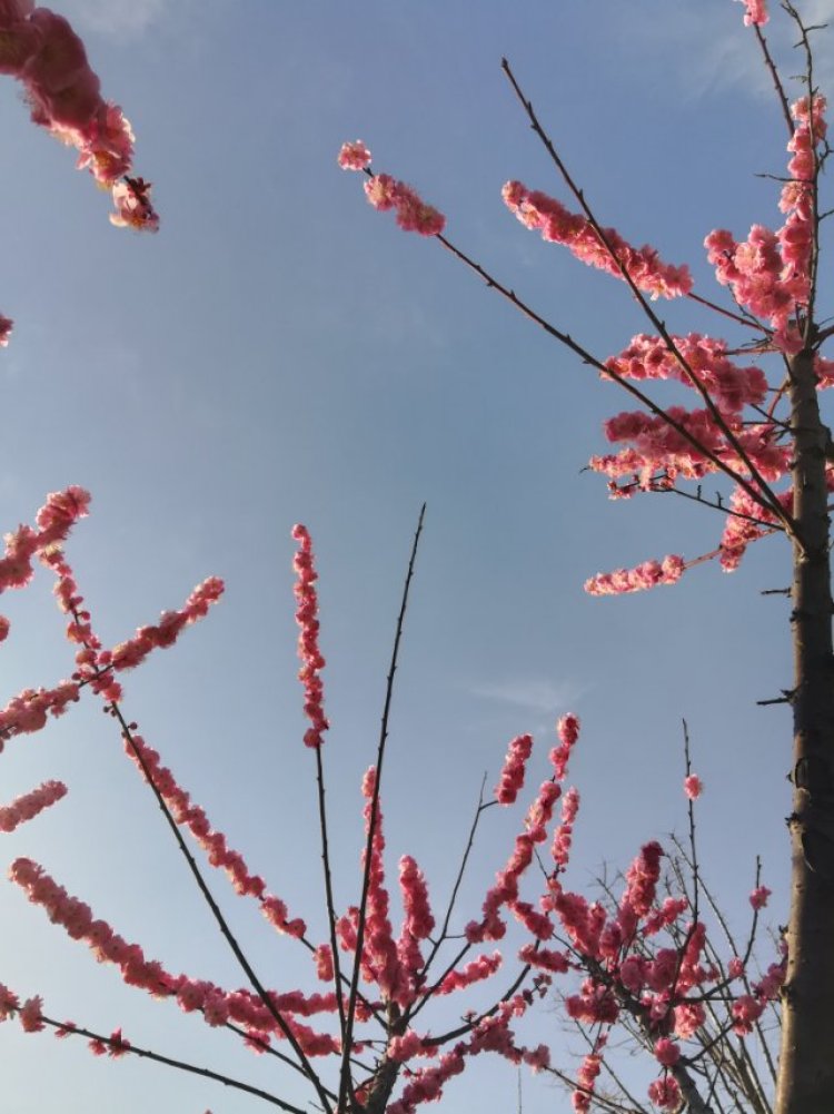 婷子*-湖北省·武汉市·武昌区--武汉的景  原图