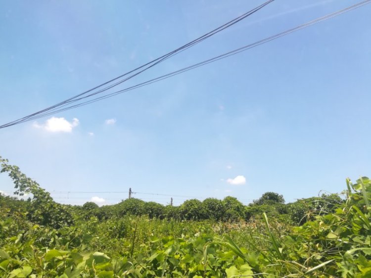 婷子*-湖北省·武汉市·武昌区--喜欢的生活  慢时光