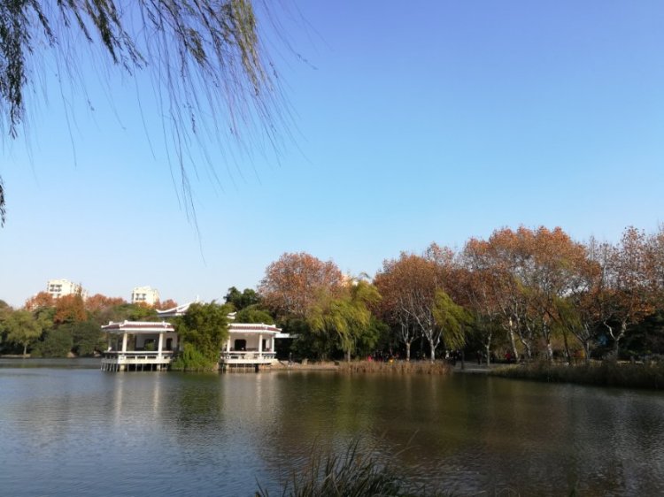 婷子*-湖北省·武汉市·武昌区--所有走过的路  遇到的人儿  都在回忆里
