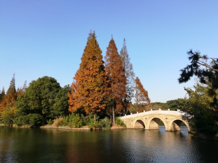 婷子*-湖北省·武汉市·武昌区--所有走过的路 遇到的人儿 都在回忆里