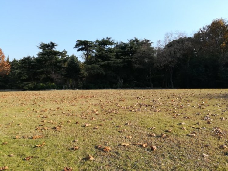 婷子*-湖北省·武汉市·武昌区--所有走过的路  遇到的人儿  都在回忆里