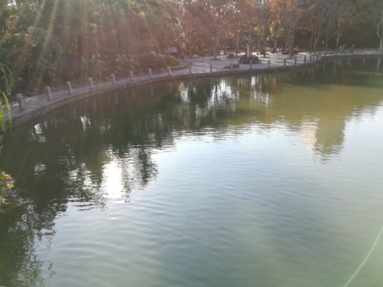 婷子*-湖北省·武汉市·武昌区--所有走过的路 遇到的人儿 都在回忆里
