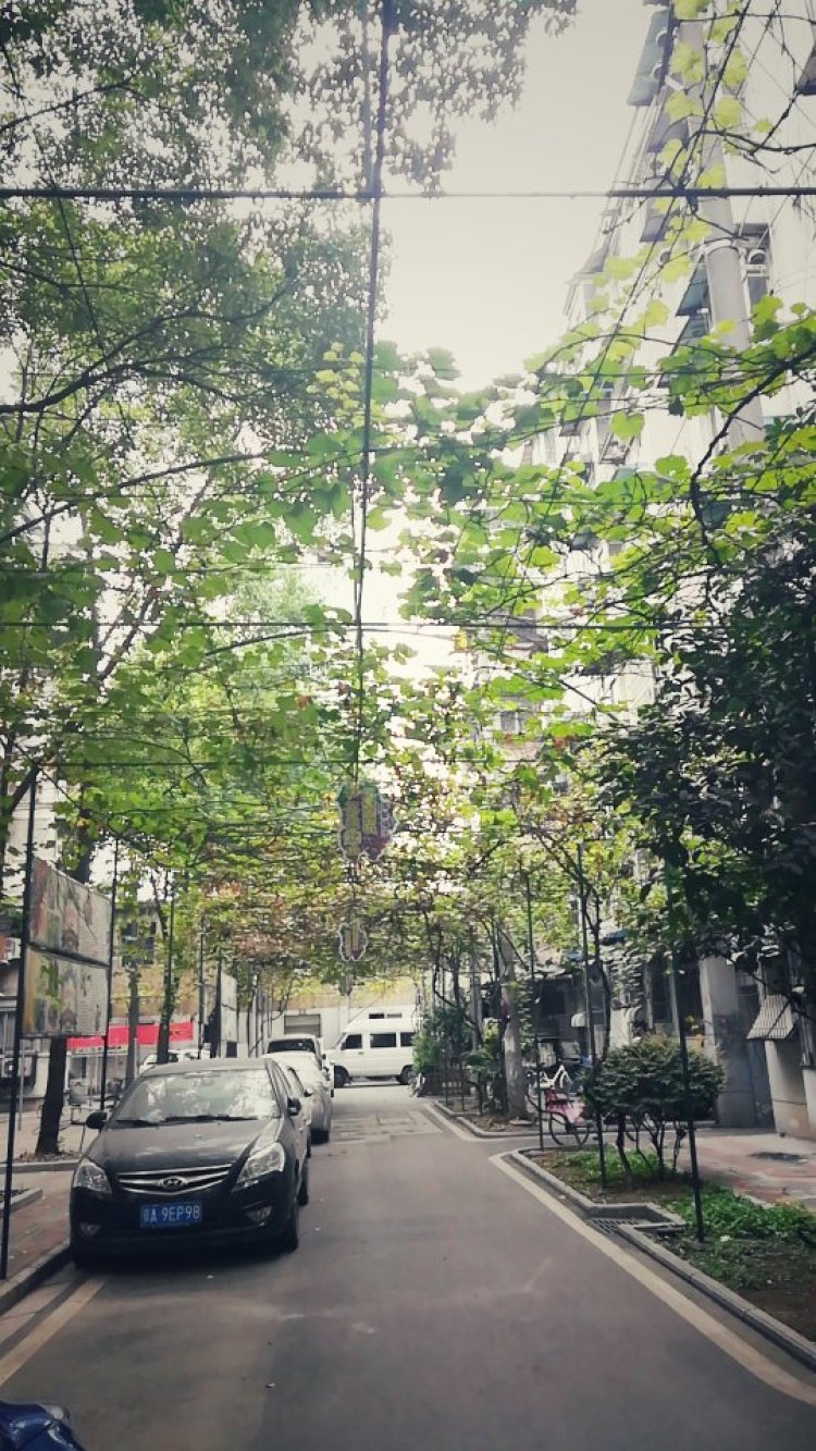 婷子*-湖北省·武汉市·武昌区--现在的生活 你不会记得从前的我