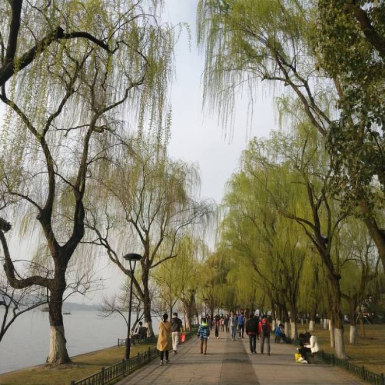 温温-浙江省·杭州市·余杭区--杭州的春天，阳光，微风和快乐！
那些是爱情吧哈哈