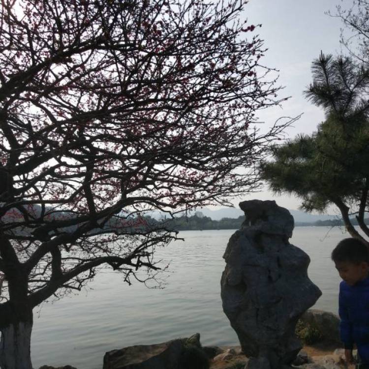 温温-浙江省·杭州市·余杭区--杭州的春天，阳光，微风和快乐！
那些是爱情吧哈哈